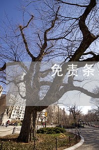 免责条款 贷款逾期 银行 免责条款 贷款逾期 银行